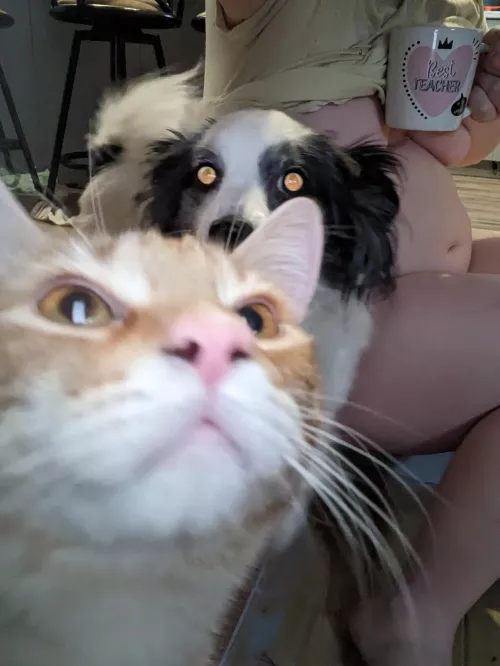 So much happening 😆