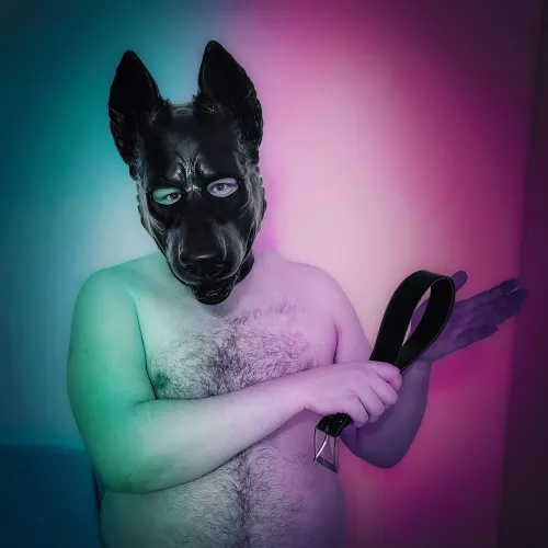 Spanking for naughty, naughty pups😈