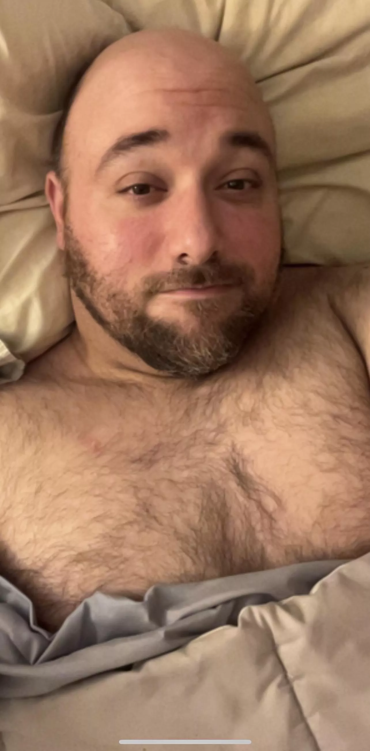 This 44y/o Tennessee bear could use a cuddle buddy…