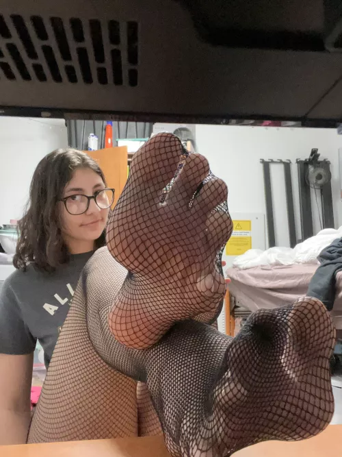 Try not to get caught in my net