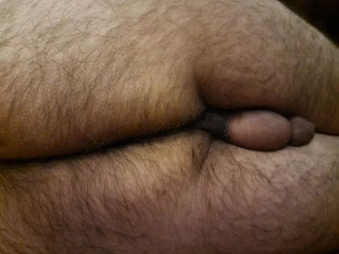 what do you guys want to do with my ass