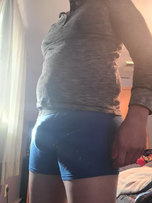 When the morning light hits just right.