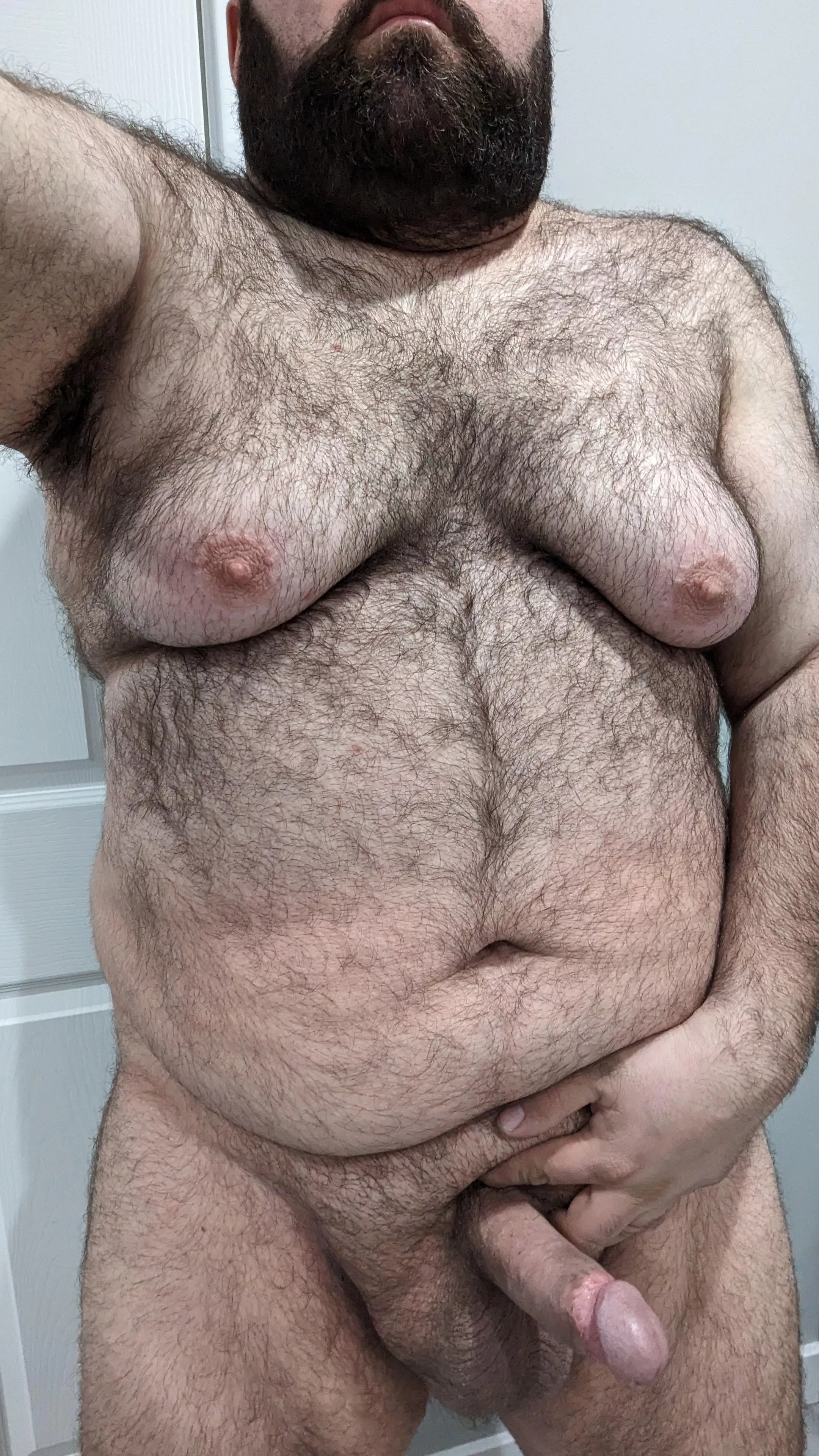 Would I make a good breeding stud?