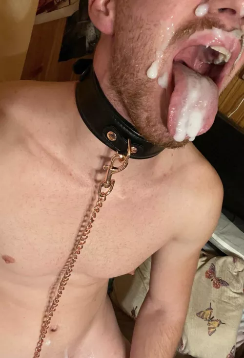 Would you let me drain you too ? [26]