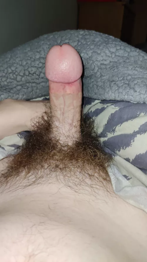 18 m looking for a daddy to slut me out