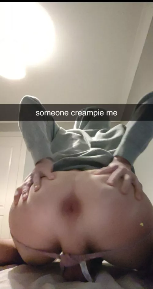(18) new snaps twink8137