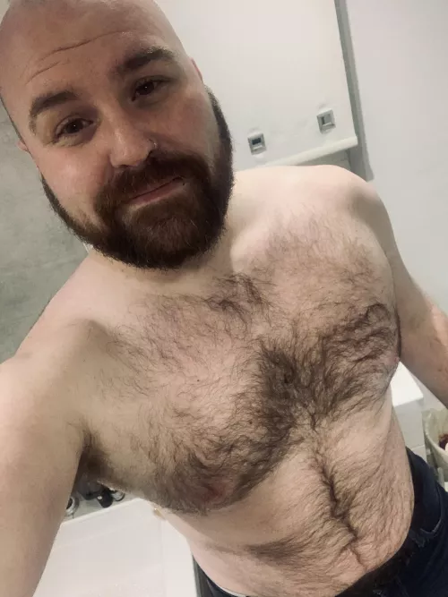 33M - any other gaymers like a hairy dude with a little bit of chunk? 😇