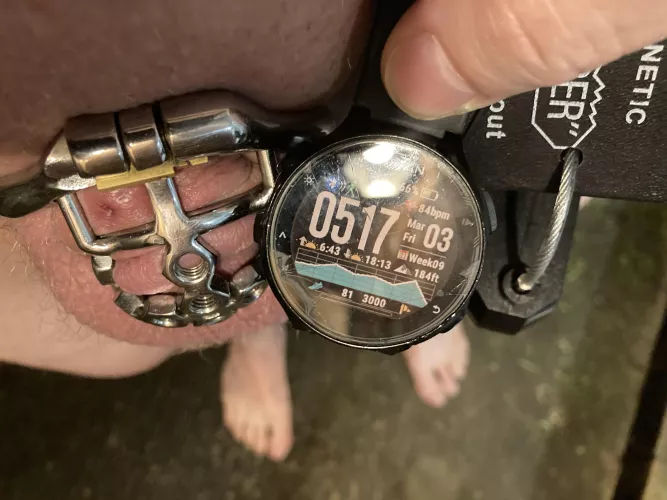 After yesterday’s “fun,” Goddess wanted Her pathetic little clitty locked back up. Thank You, Goddess, for making Your pet punish Your clitty and riding its dildo.