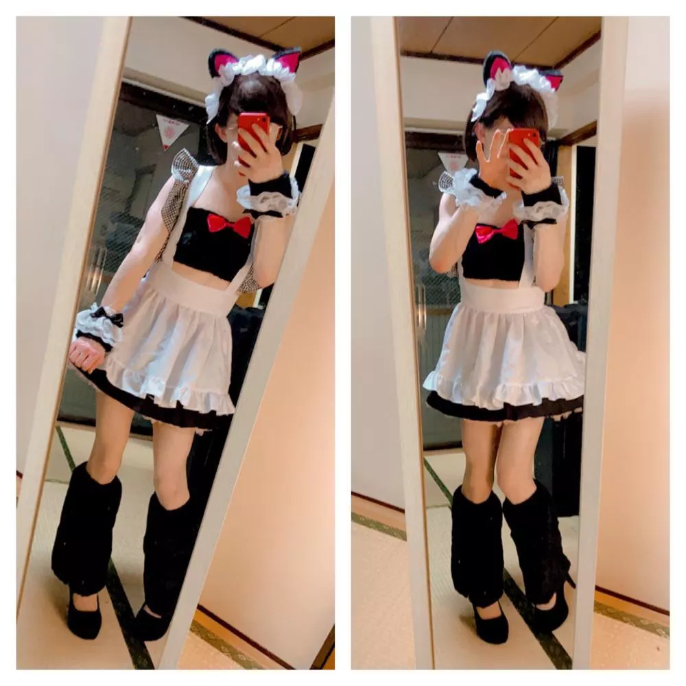 Catboy maid: hired or fired?