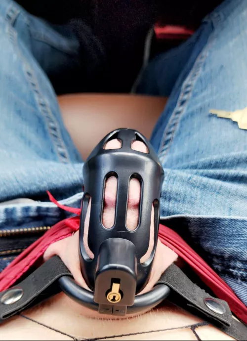 Found my forever home! Wanna have a housewarming party?