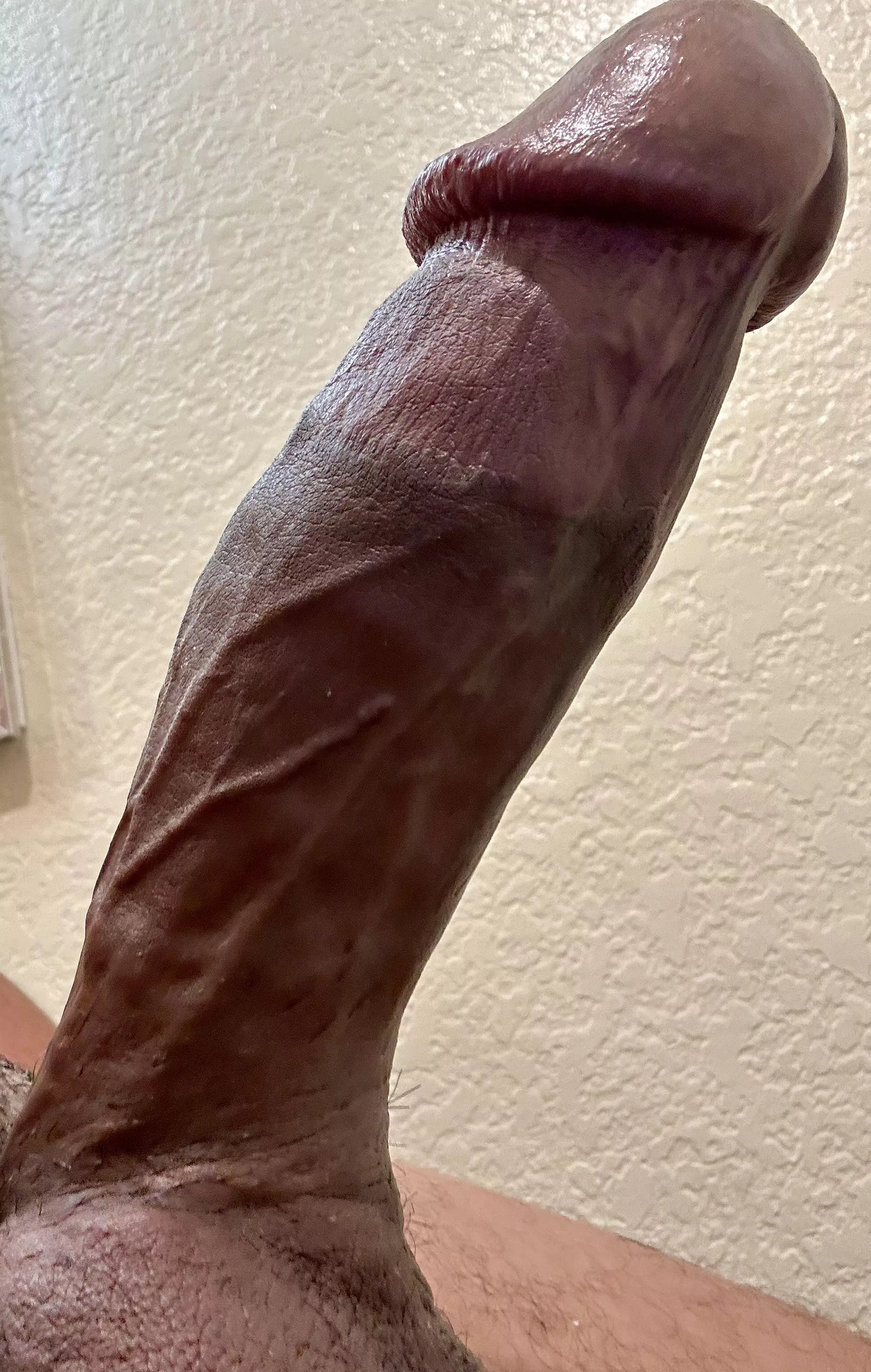 How’s my fat cock?