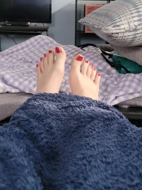 Just some cute kitty feet peaking out to see if it's still cold 🥶