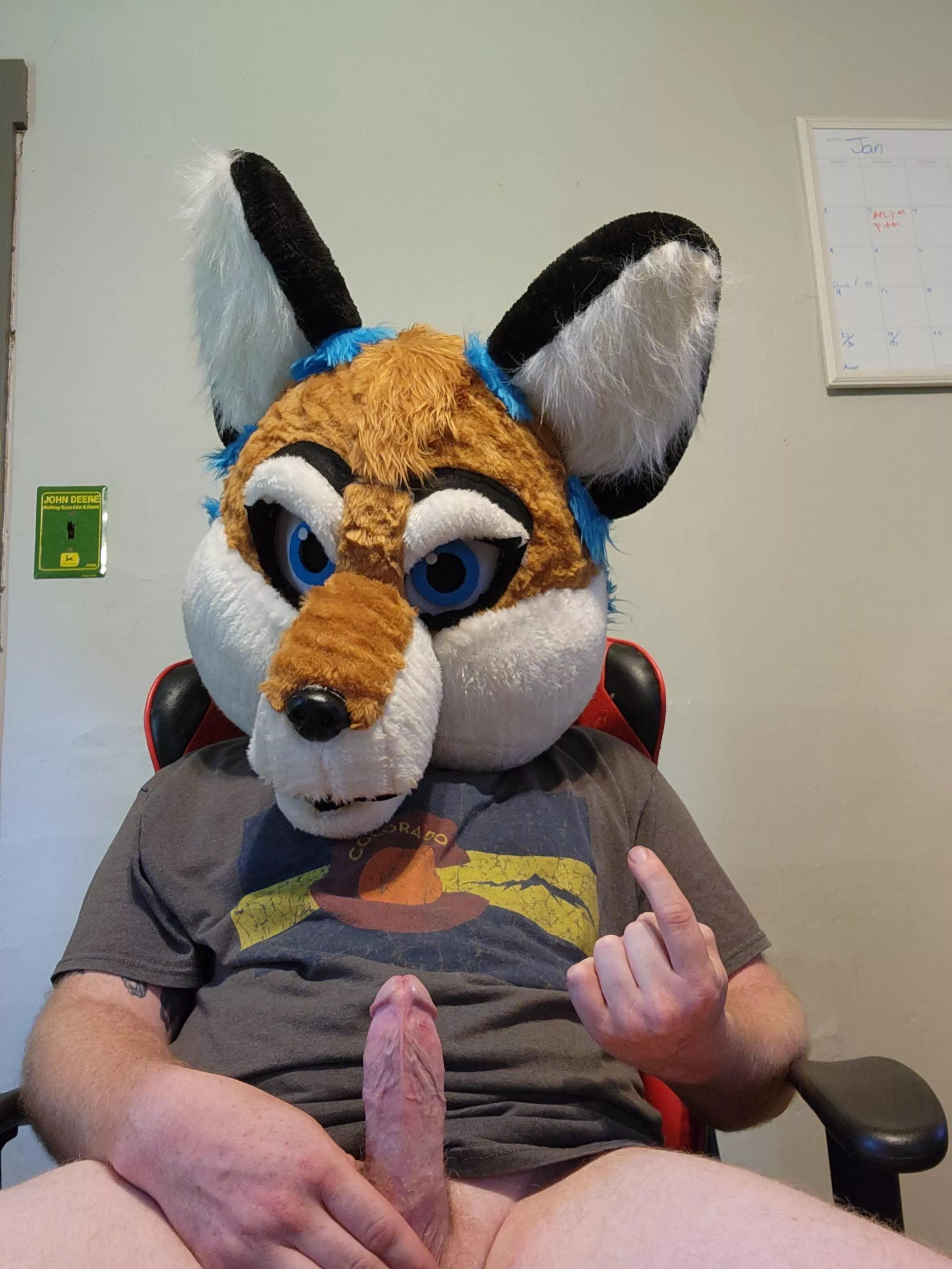 Looking to fit this fox into your weeknd?