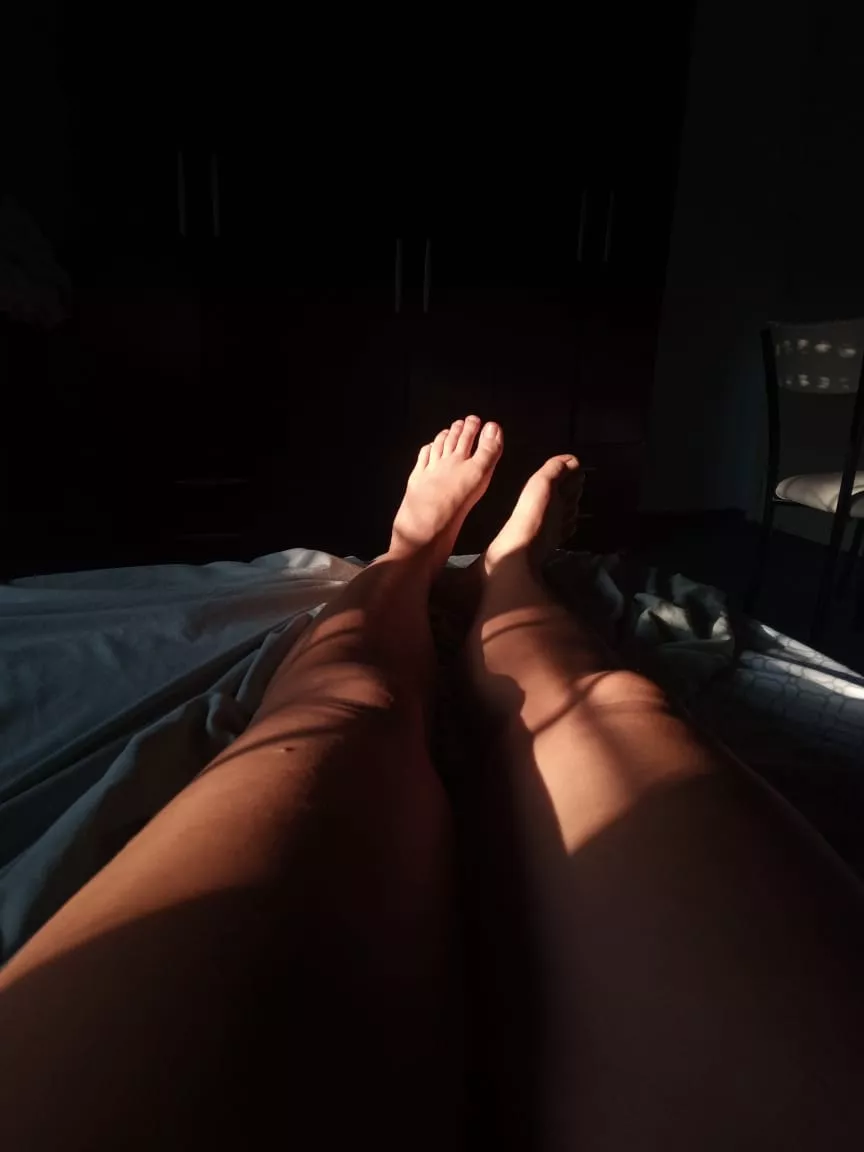 Morning sunny legs!