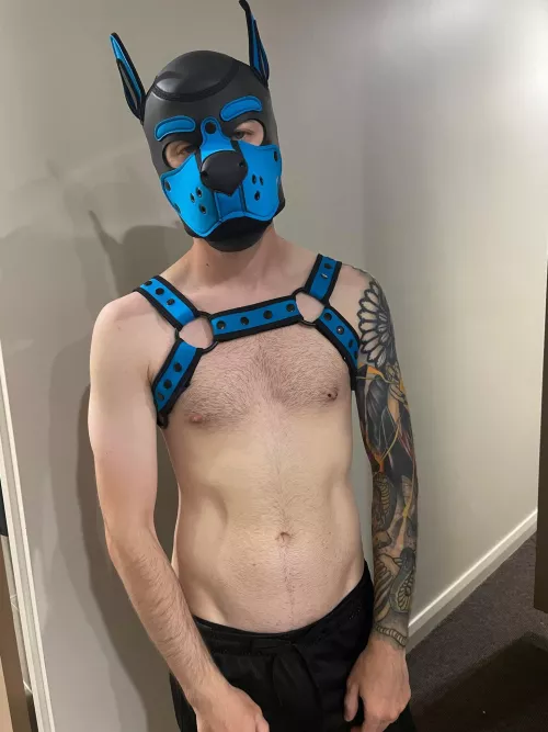 Puppy went to his first event. lots of fun!