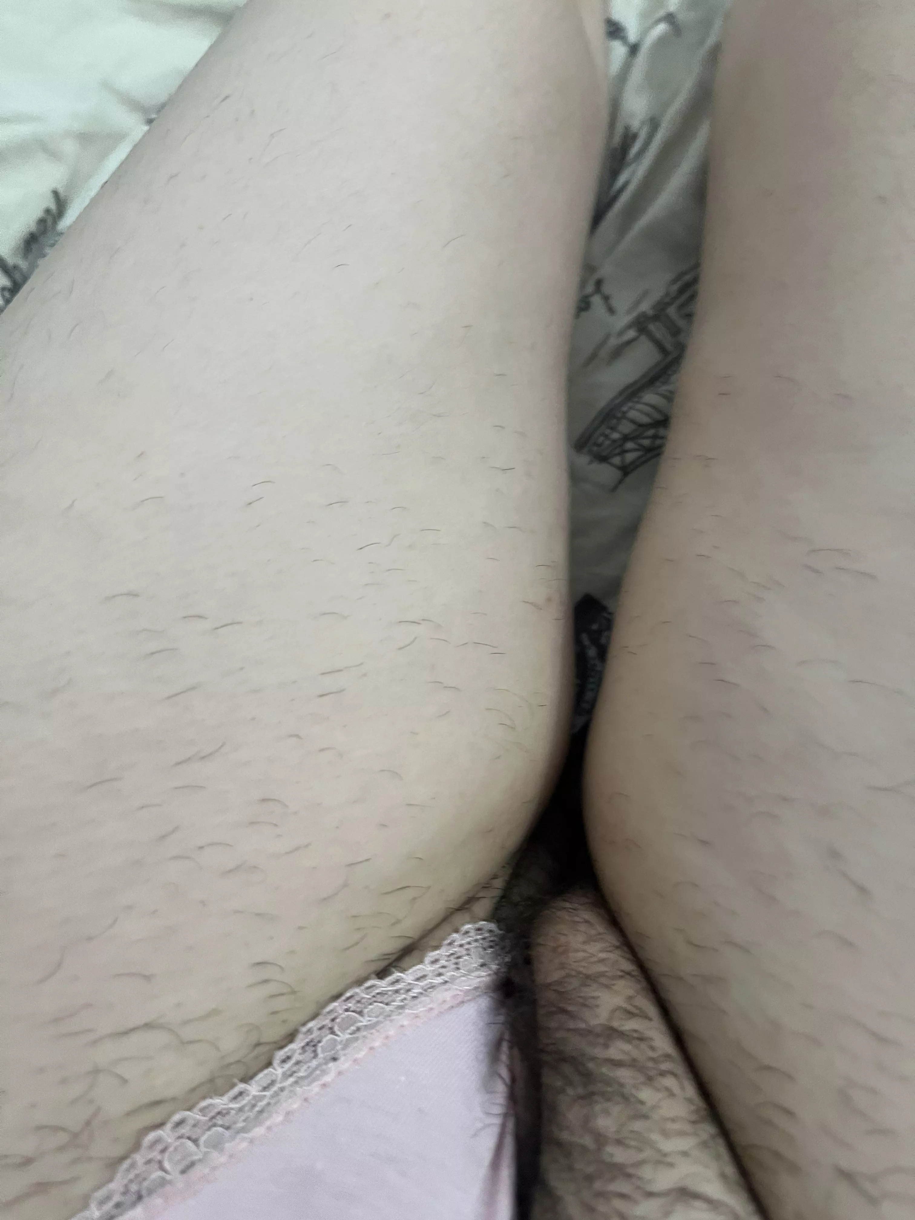 Shy hairy pussy