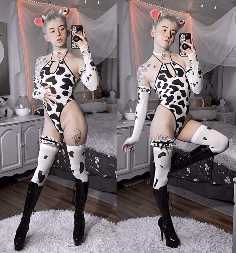 This Boi needs bred ASAP - spencer_sunboy on twitter and insta 🐮