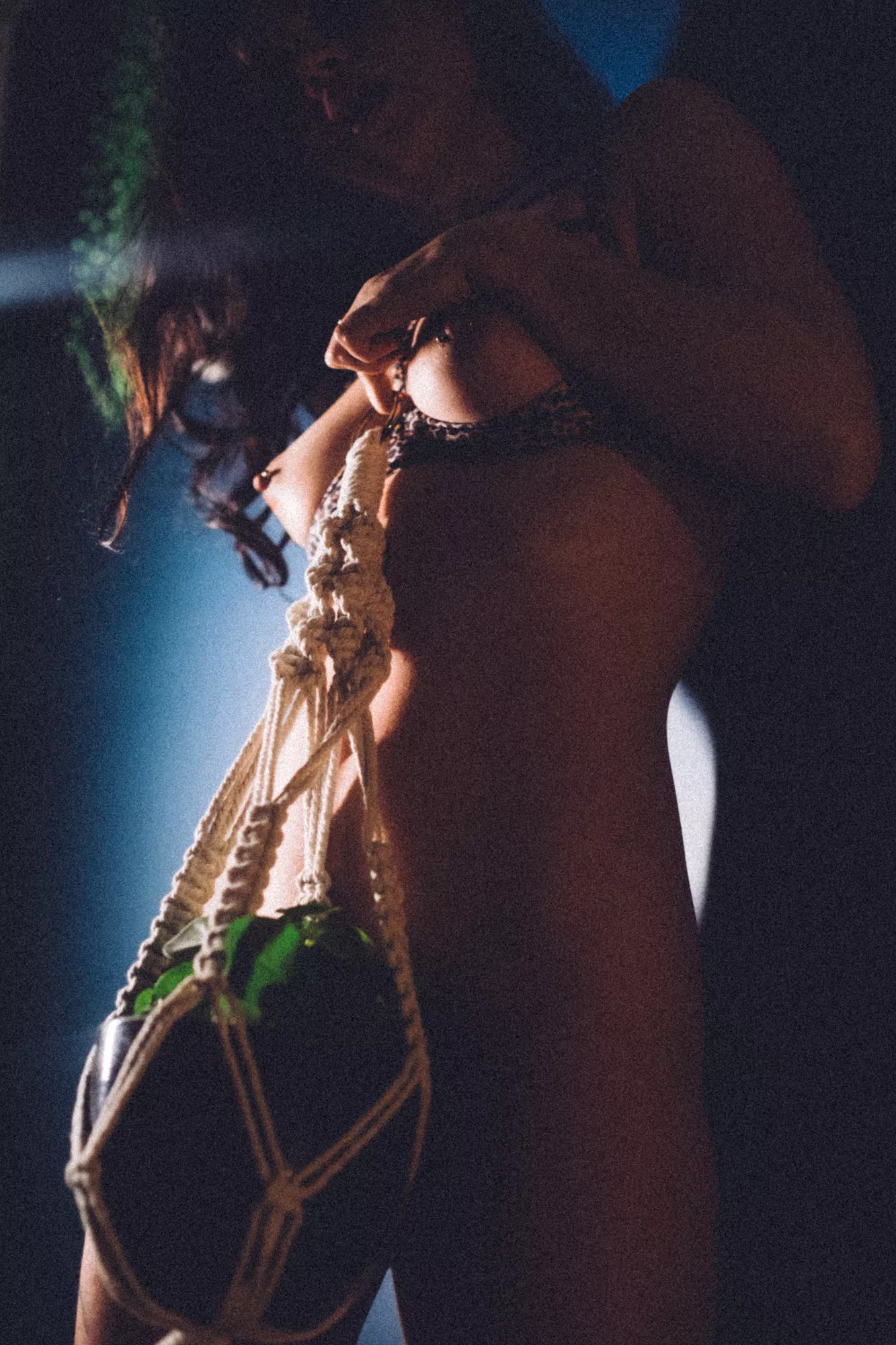 Toronado by Mateusz Bylica