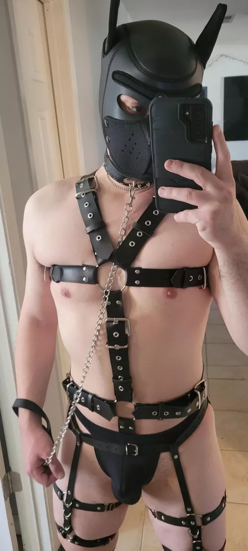 [24] Like my gear? 😁