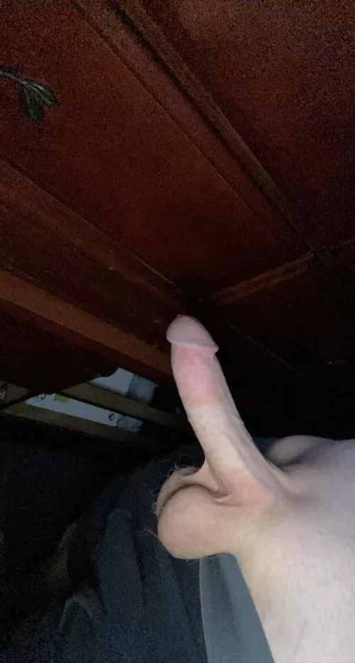 24M Top looking for chubs