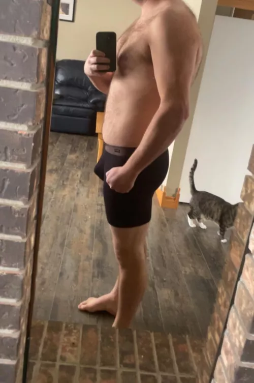 25 slowly going from bear to otter!