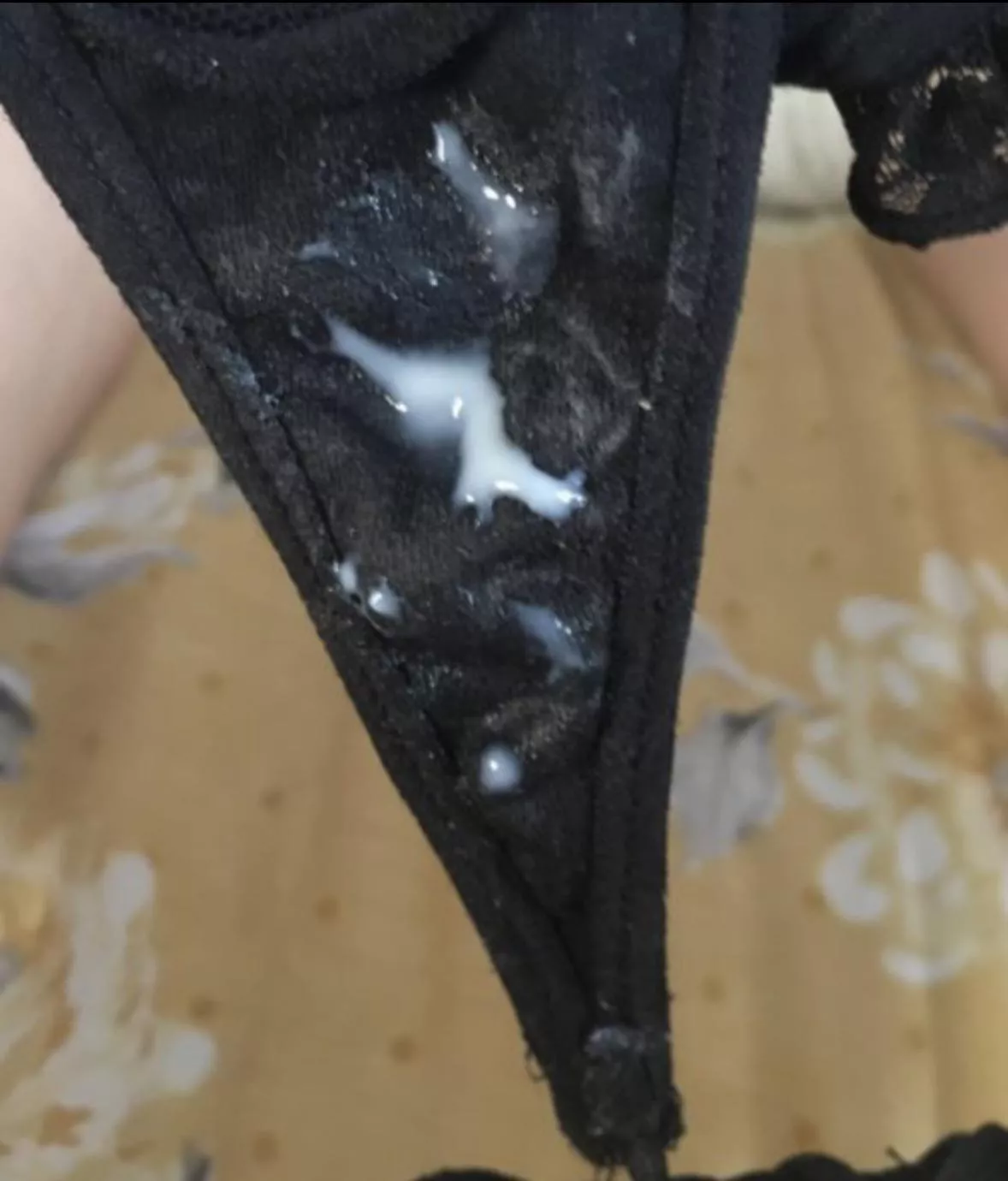 Another creamy pair going to there new home