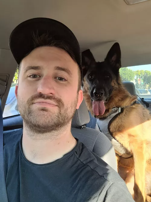 Buckle up, buckaroos! 🐶