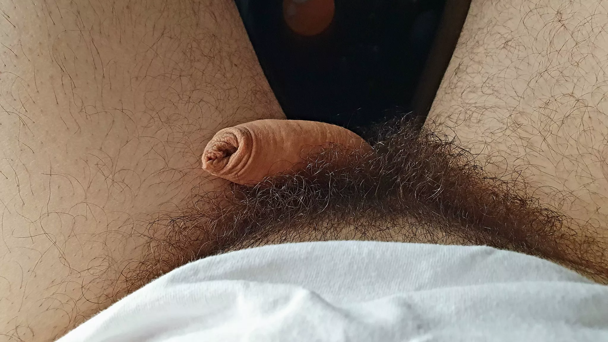 bushy pubes