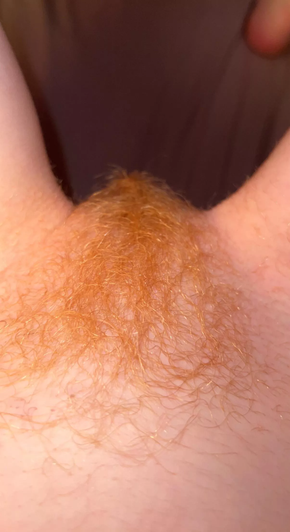 Can you tell i’m a natural redhead