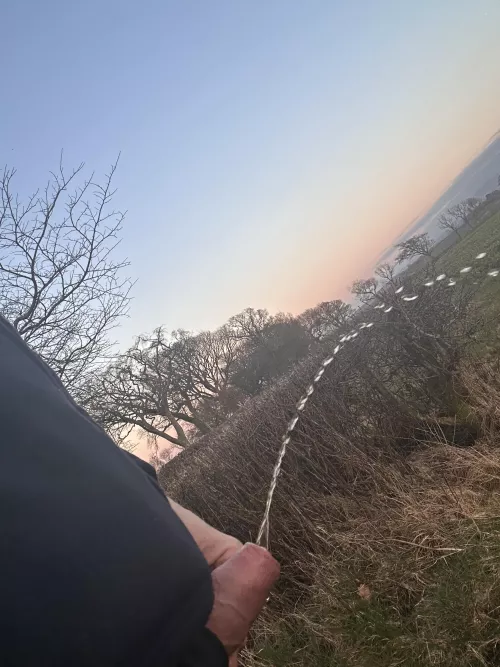 Desperate, nearly didn’t get it out on time