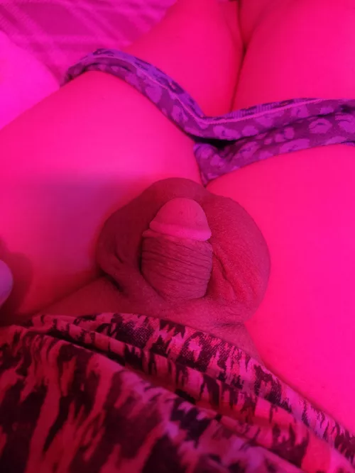 do you think I'm ready to go for a flat cage?