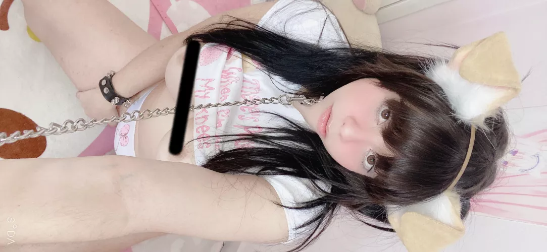 egirl puppy at your service