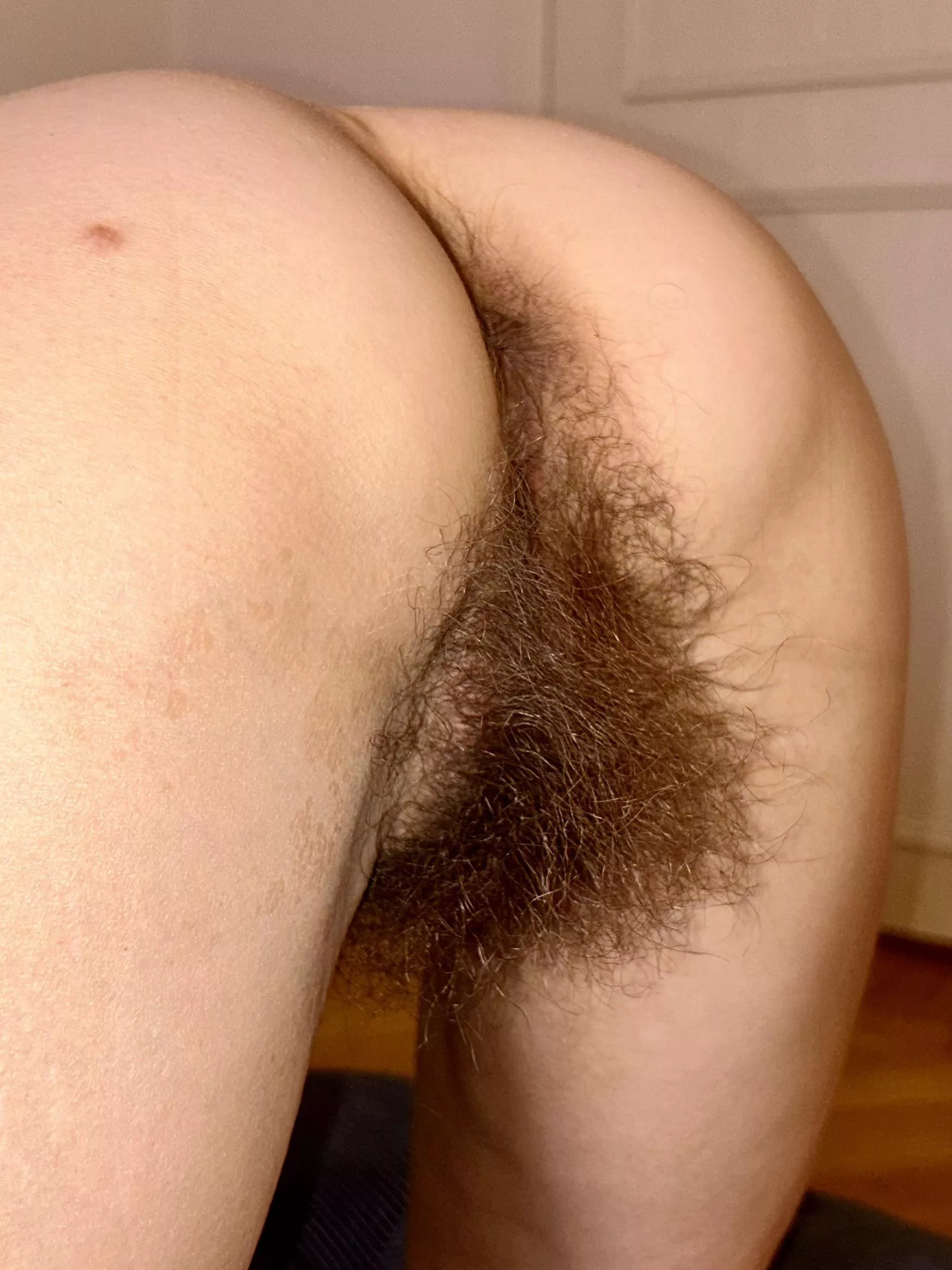 How do you like my back bush?