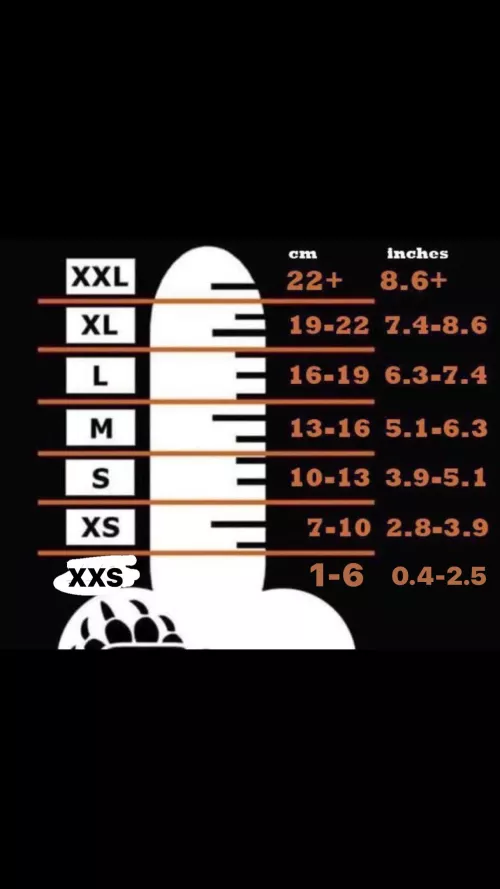 How does your erect cock compare with this chart? I’m XXS for sure.