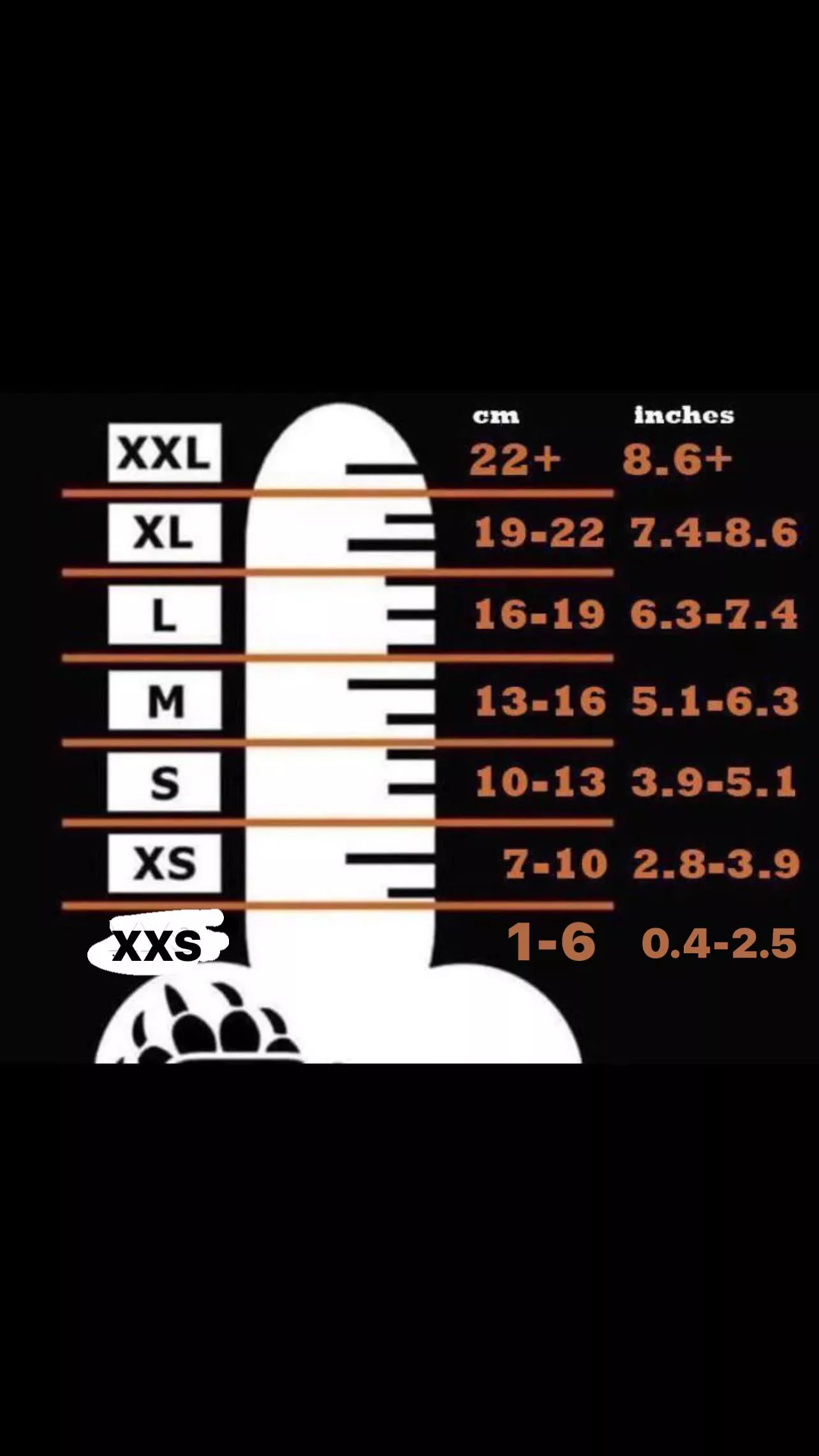 How does your erect cock compare with this chart? I’m XXS for sure.
