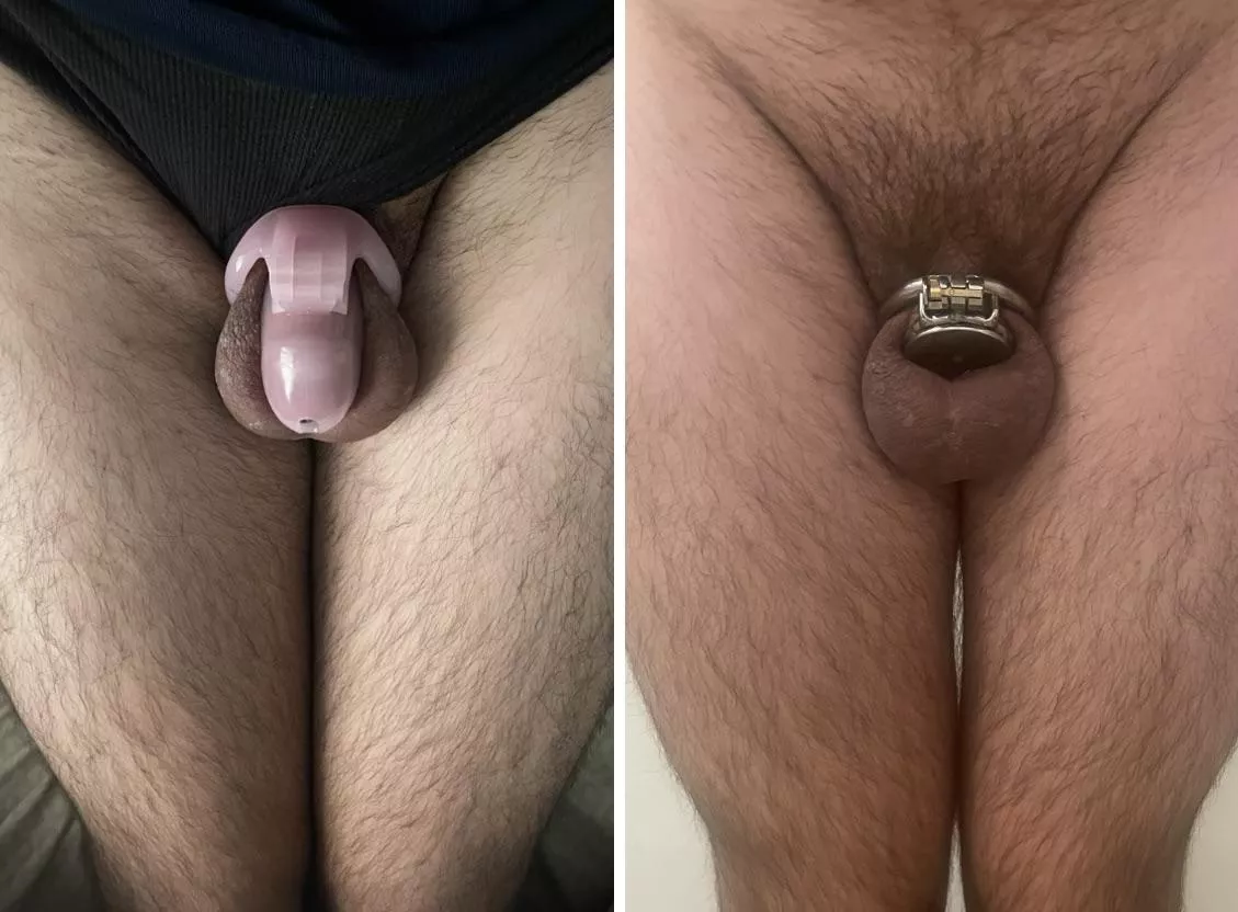 I couldn’t even fill my first cage so I decided I needed to go much smaller 🤭