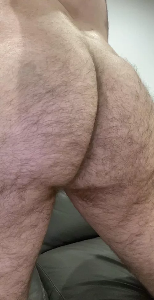 If you think this hairy ass looks good now, wait till you see it bent over…