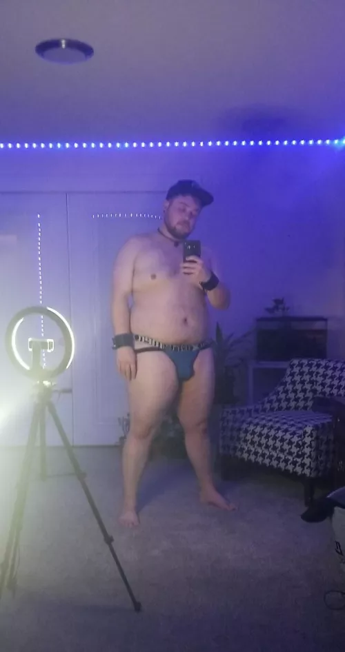 It's bear season year-round!