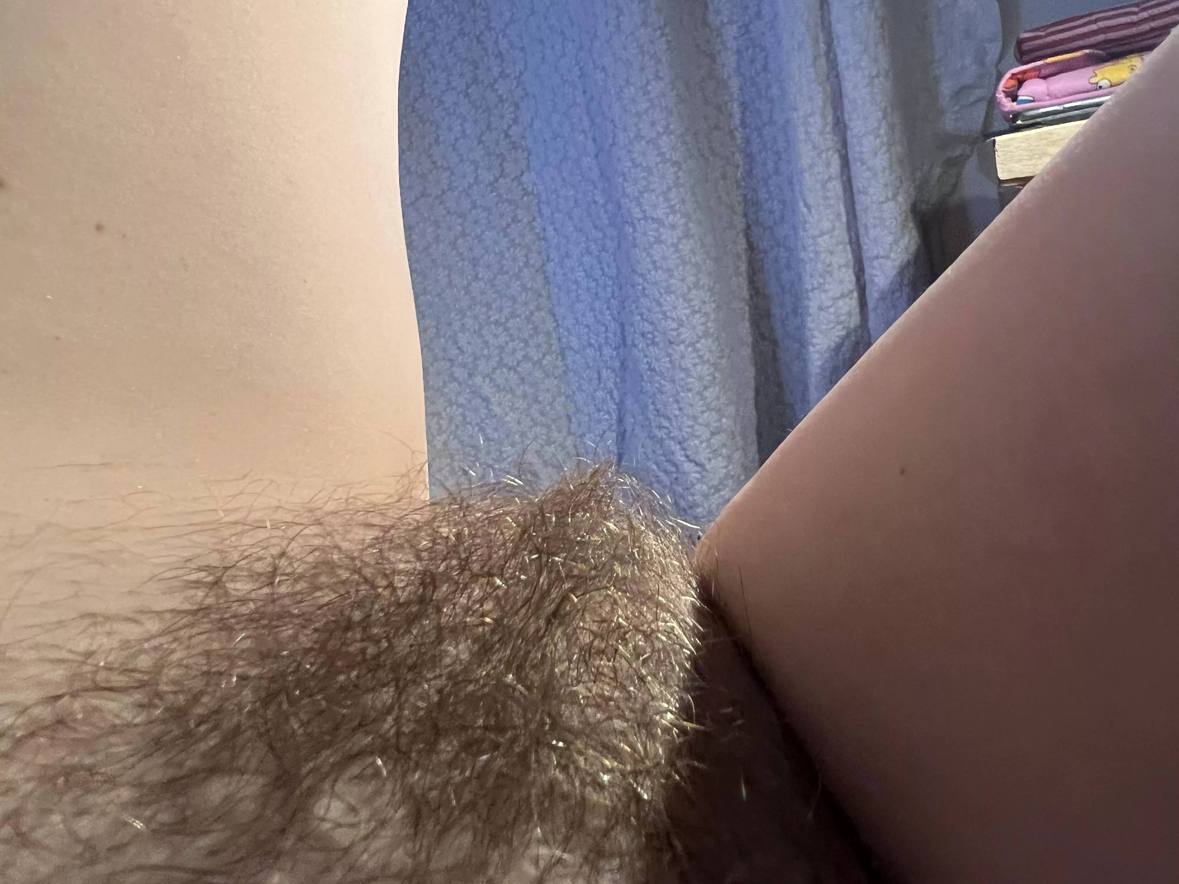 Lush and verdant pussy jungle [oc]