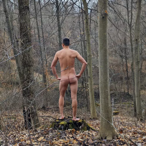 Morning walk in the woods