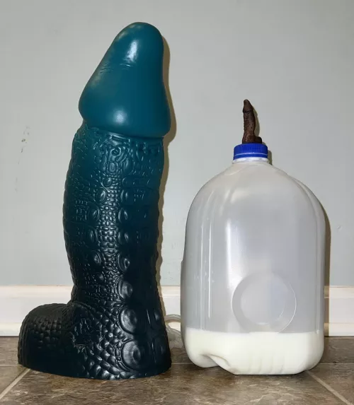 My XL Marcel has arrived!!! I felt like a pop can was utterly disrespectful to his size, so here he is towering over a gallon of milk!!! 🐊🤩