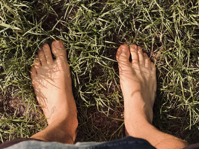 Nothing like moist grass