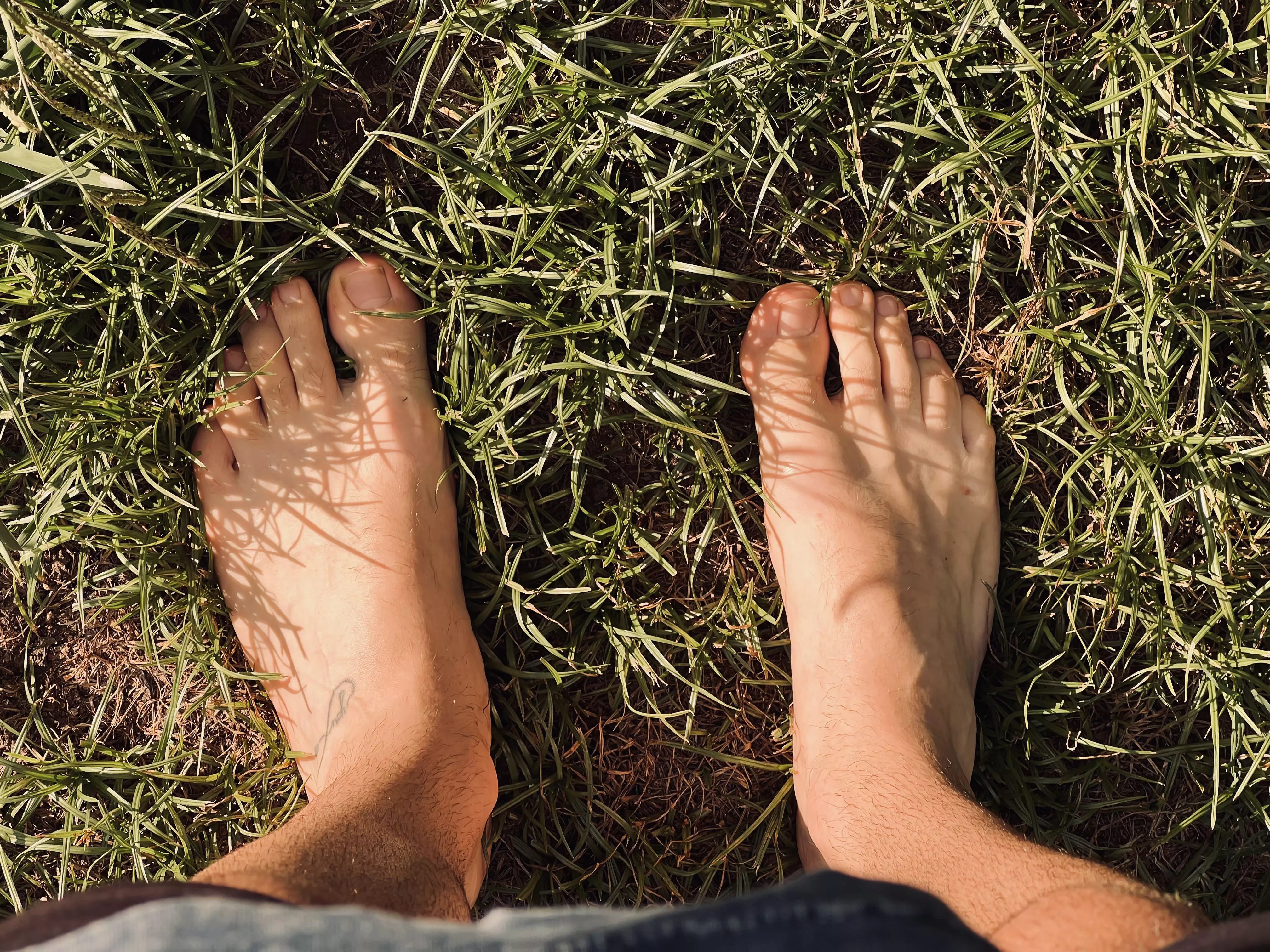 Nothing like moist grass