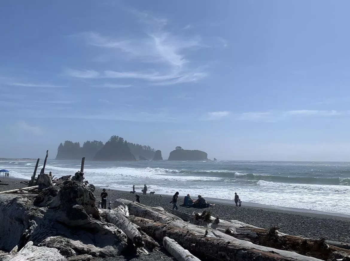 Pacific Northwest 🏔️🌊