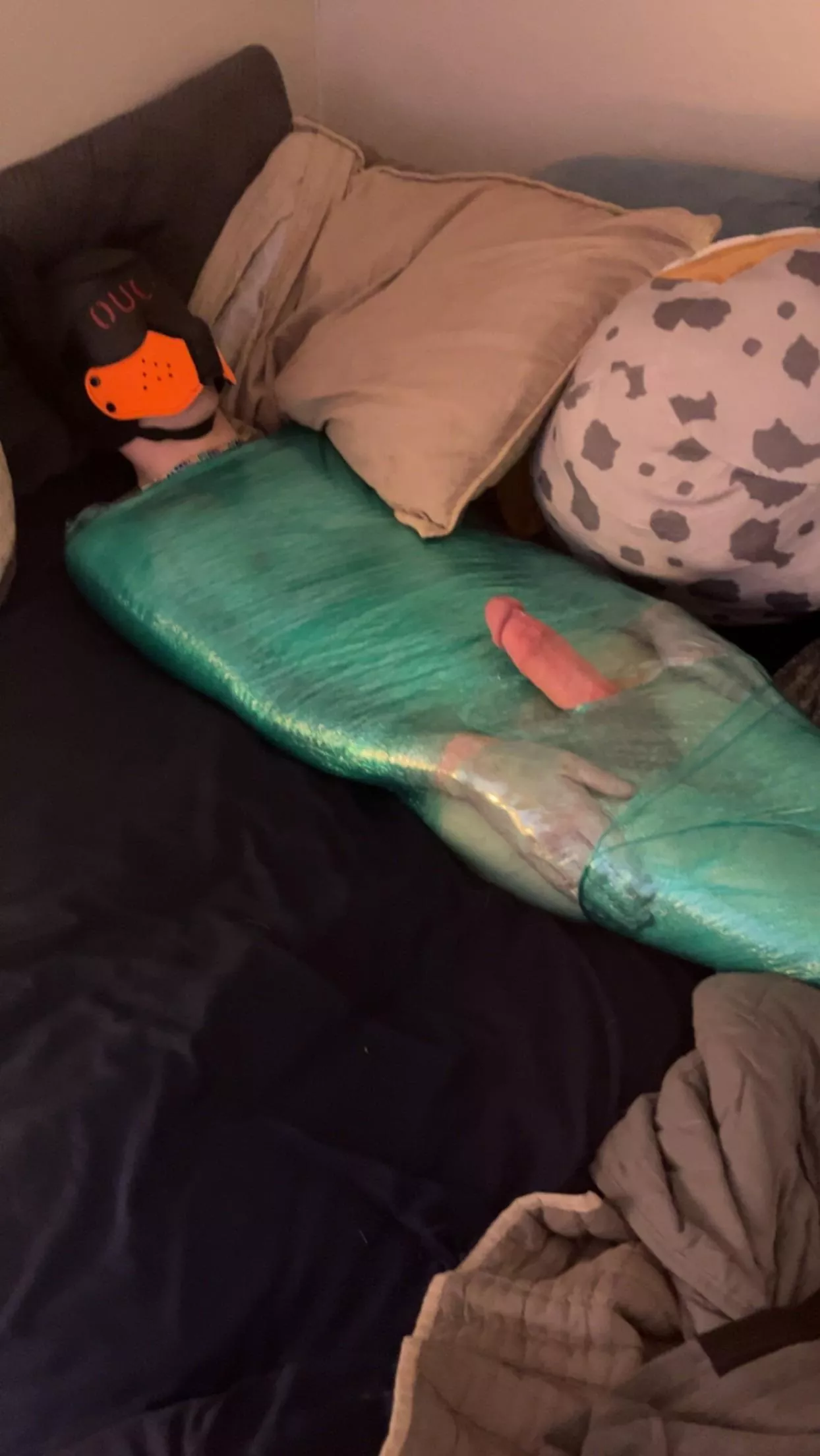 Pup got mummified and milked