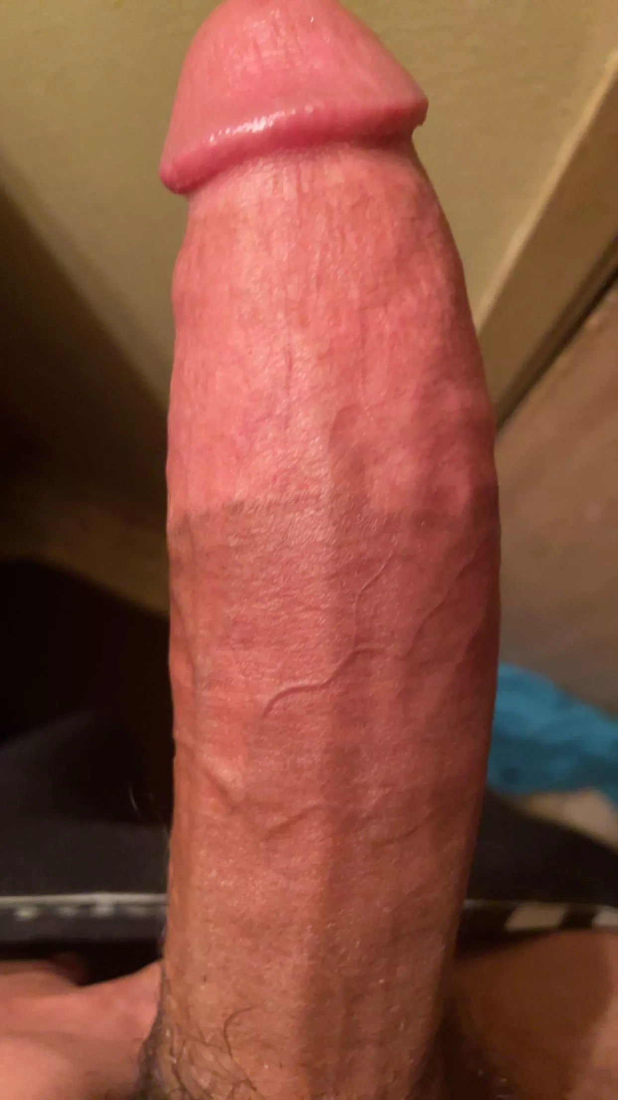 Rising Planet Of The Cock…😂😂