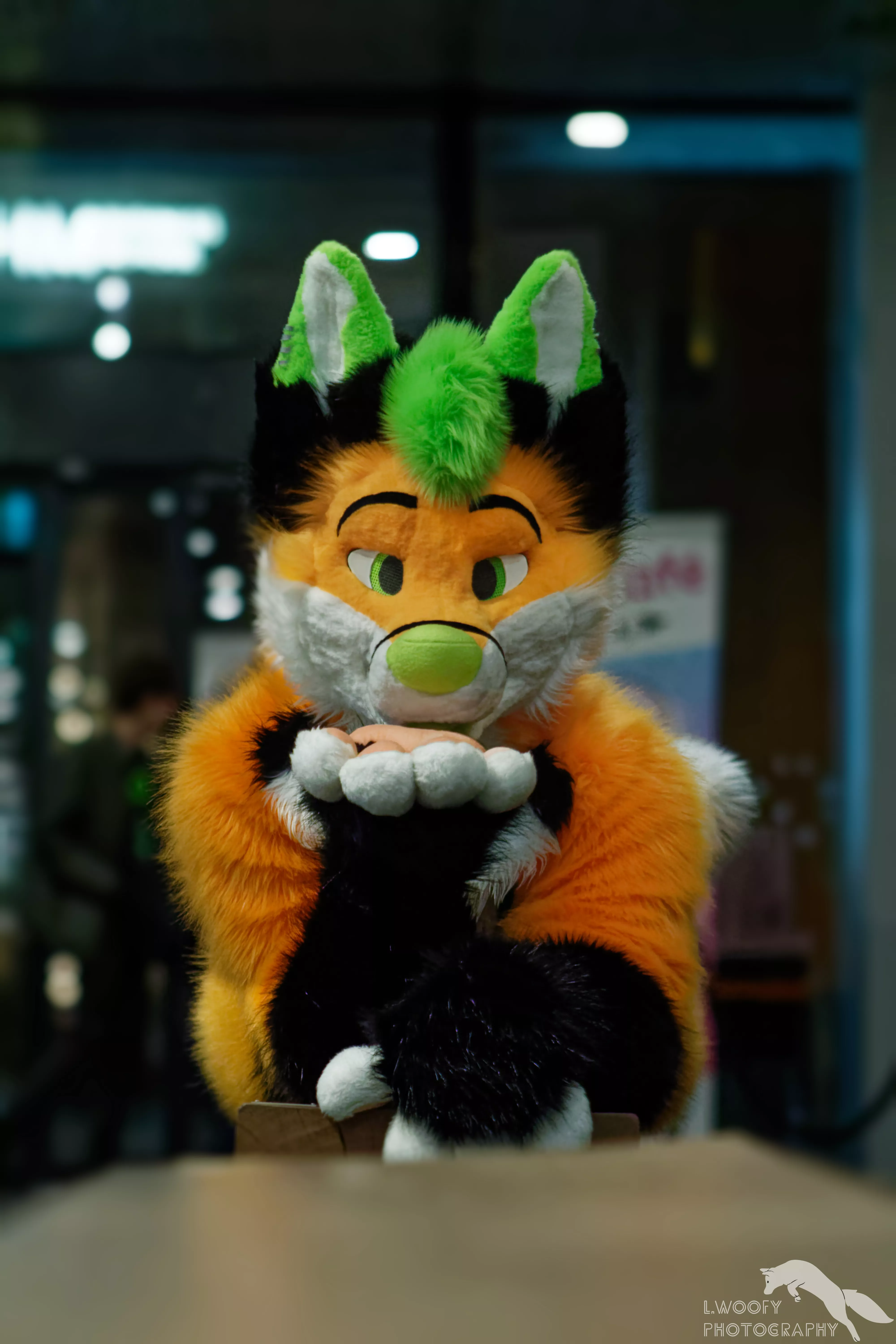 Smooch! (Photographer - @lupus_woofy)