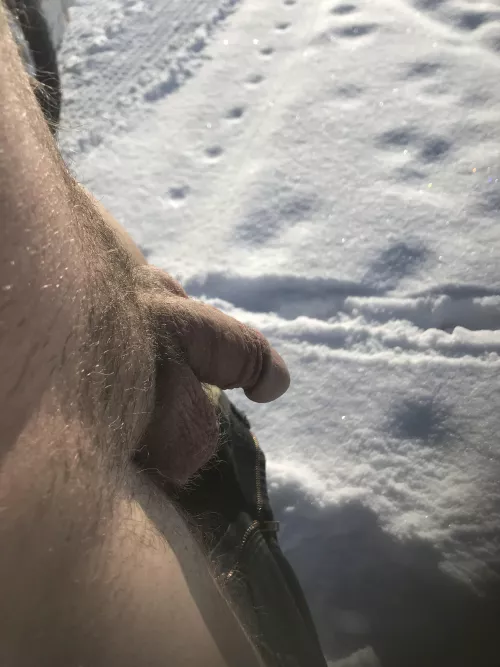 Snowy cock could sure use a good blow job