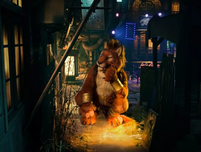 @spectacledlion (photo by @Catamountphotos on Twitter)