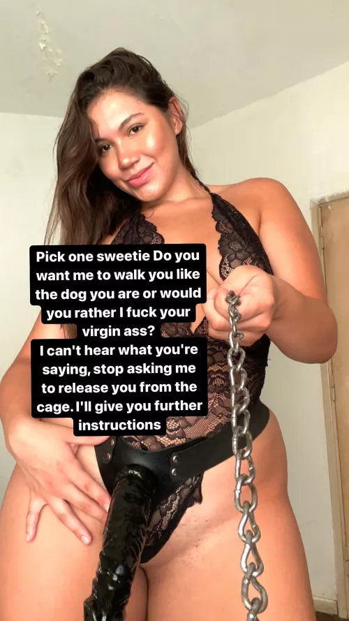 Stop asking me to release you, here are your instructions.